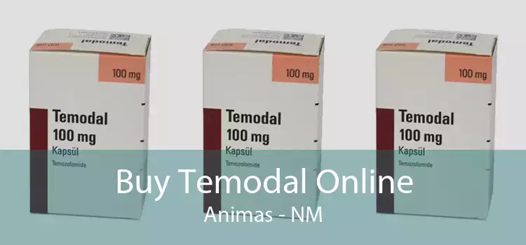Buy Temodal Online Animas - NM