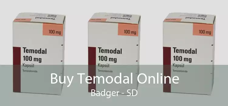 Buy Temodal Online Badger - SD