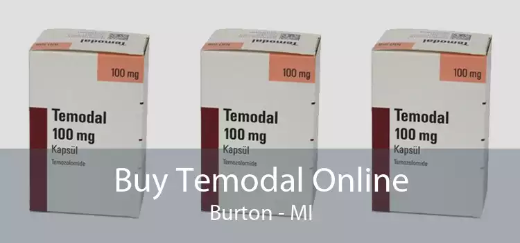 Buy Temodal Online Burton - MI