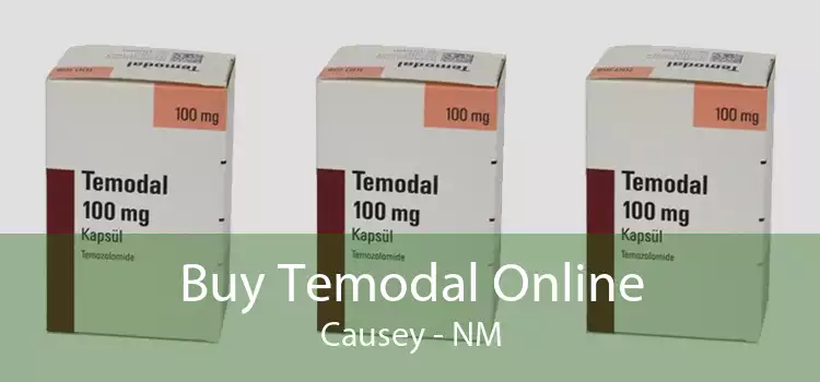 Buy Temodal Online Causey - NM